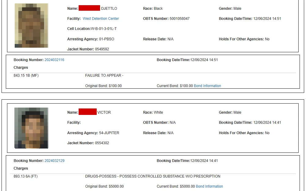 A screenshot of a booking blotter list from the Palm Beach County Sheriff's Office website displaying information such as name, race, facility, arresting agency, gender, OBTS number, booking date and time, release date and time, and jacket number.